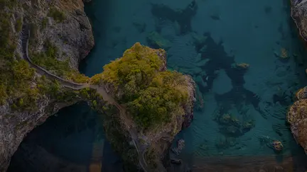 Tropea