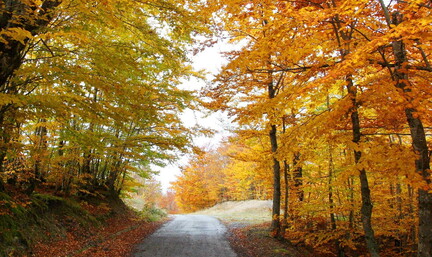 Parco Nazionale del Pollino