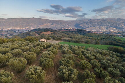 Uliveto di Montalto Uffugo