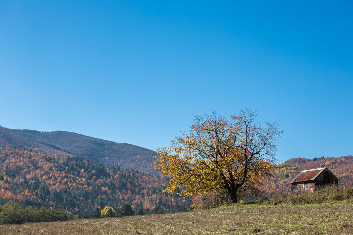 Paesaggio Autunno Foliage di Sila