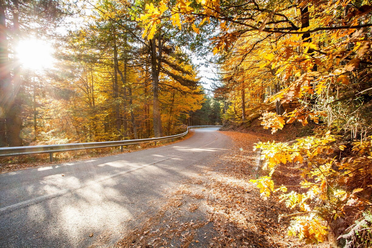 Paesaggio Autunno Foliage di Sila