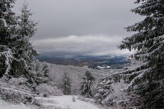Inverno Neve Paesaggio di Sila