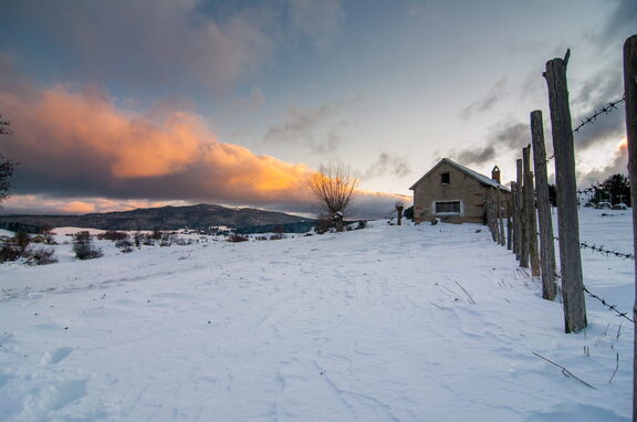 Inverno Neve Paesaggio di Sila