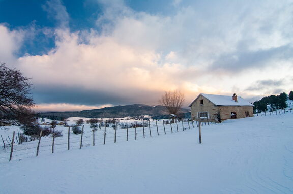 Inverno Neve Paesaggio di Sila