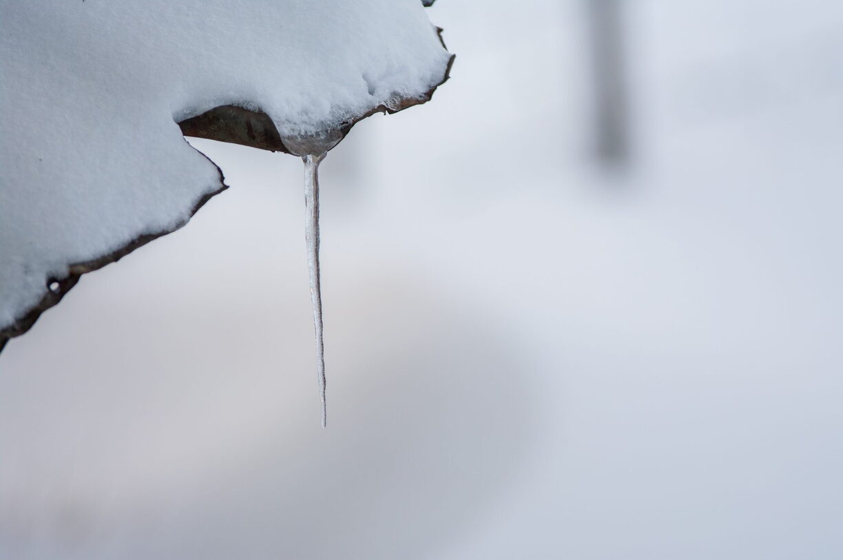 Inverno Neve Paesaggio di Sila