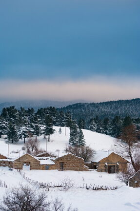 Inverno Neve Paesaggio di Sila