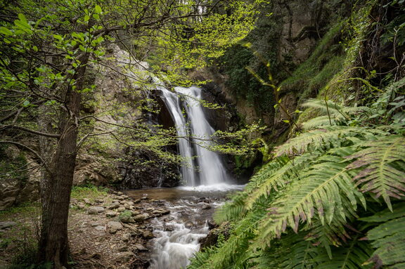 cascata Fiume Outdoor Natura di Sila