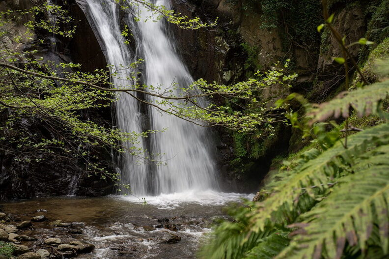 cascata Fiume Outdoor Natura di Sila