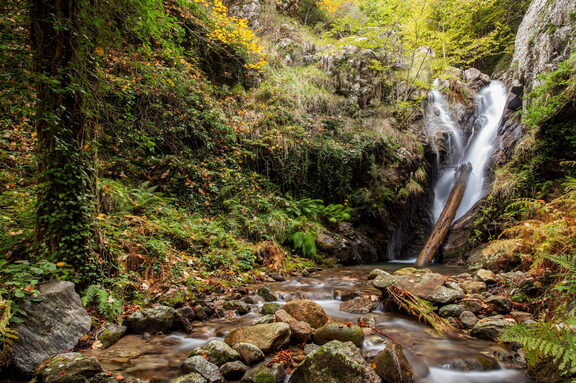 cascata Fiume Outdoor Natura di Sila