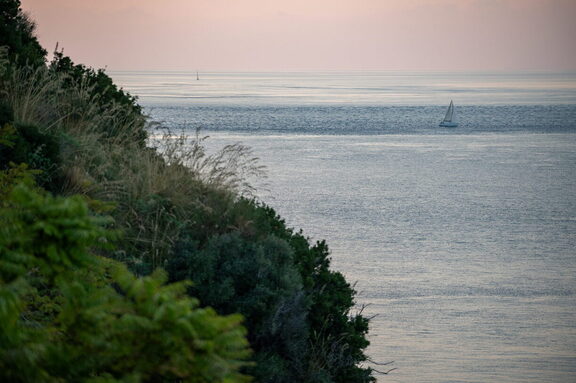 Barca Vela di Scilla